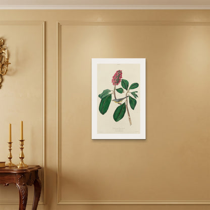 Orlonzo - WRAPPED CANVAS UNFRAMED 5075cm2030 ROOM
