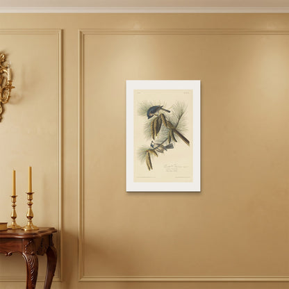 Orlonzo - WRAPPED CANVAS UNFRAMED 5075cm2030 ROOM