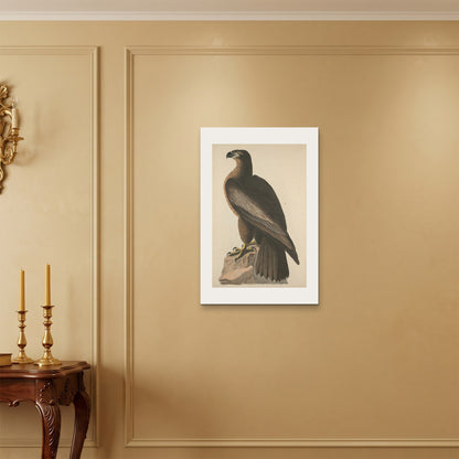 Orlonzo - WRAPPED CANVAS UNFRAMED 5075cm2030 ROOM