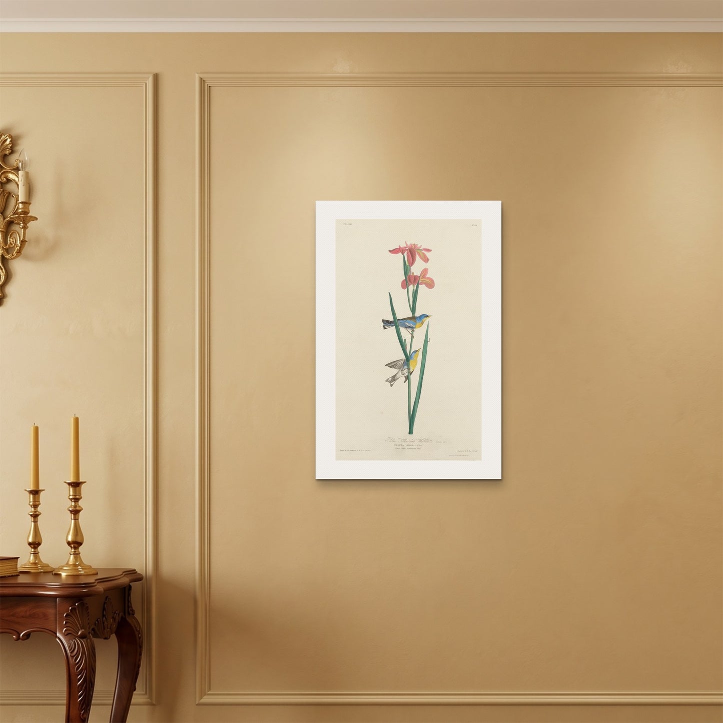 Orlonzo - WRAPPED CANVAS UNFRAMED 5075cm2030 ROOM