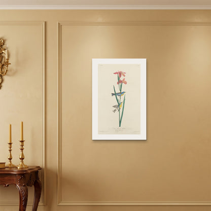 Orlonzo - WRAPPED CANVAS UNFRAMED 5075cm2030 ROOM