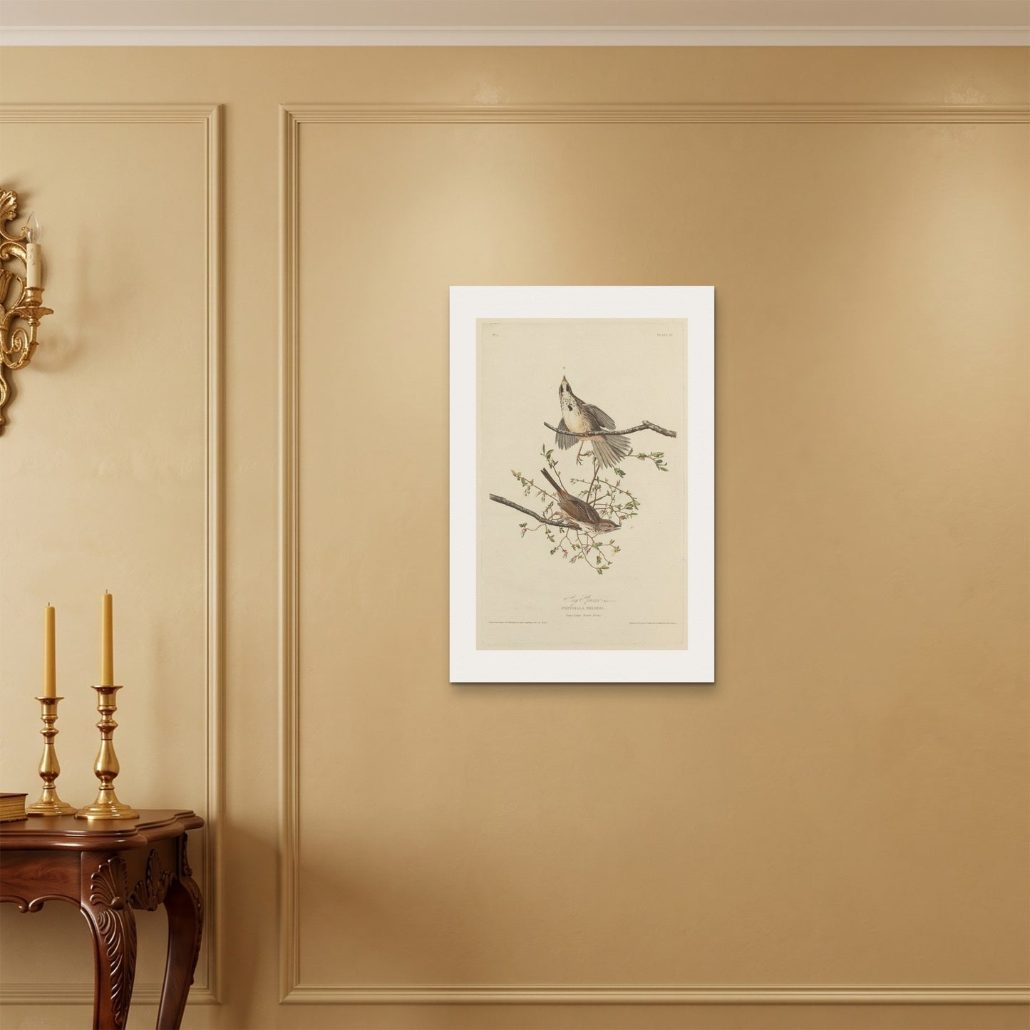 Orlonzo - WRAPPED CANVAS UNFRAMED 5075cm2030 ROOM