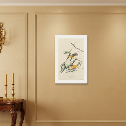 Orlonzo - WRAPPED CANVAS UNFRAMED 5075cm2030 ROOM
