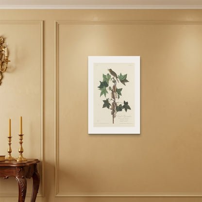 Orlonzo - WRAPPED CANVAS UNFRAMED 5075cm2030 ROOM