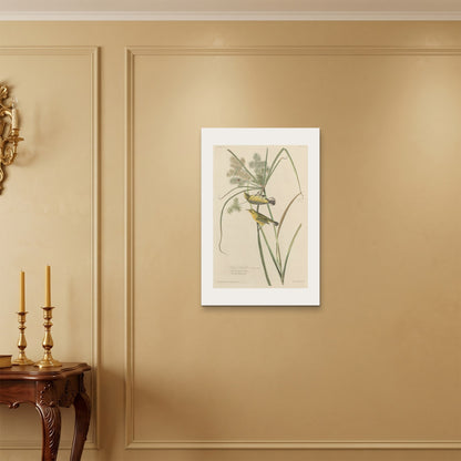 Orlonzo - WRAPPED CANVAS UNFRAMED 5075cm2030 ROOM