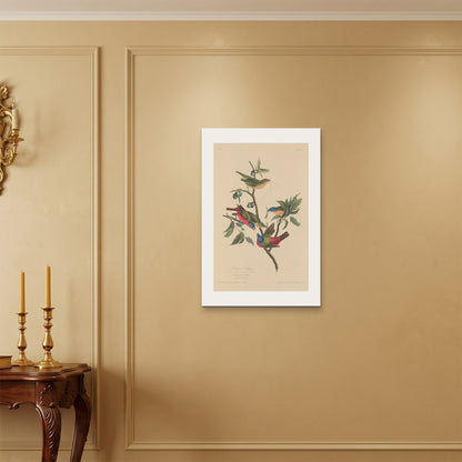 Orlonzo - WRAPPED CANVAS UNFRAMED 5075cm2030 ROOM