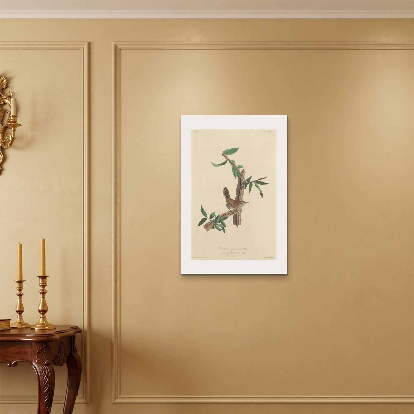 Orlonzo - WRAPPED CANVAS UNFRAMED 5075cm2030 ROOM