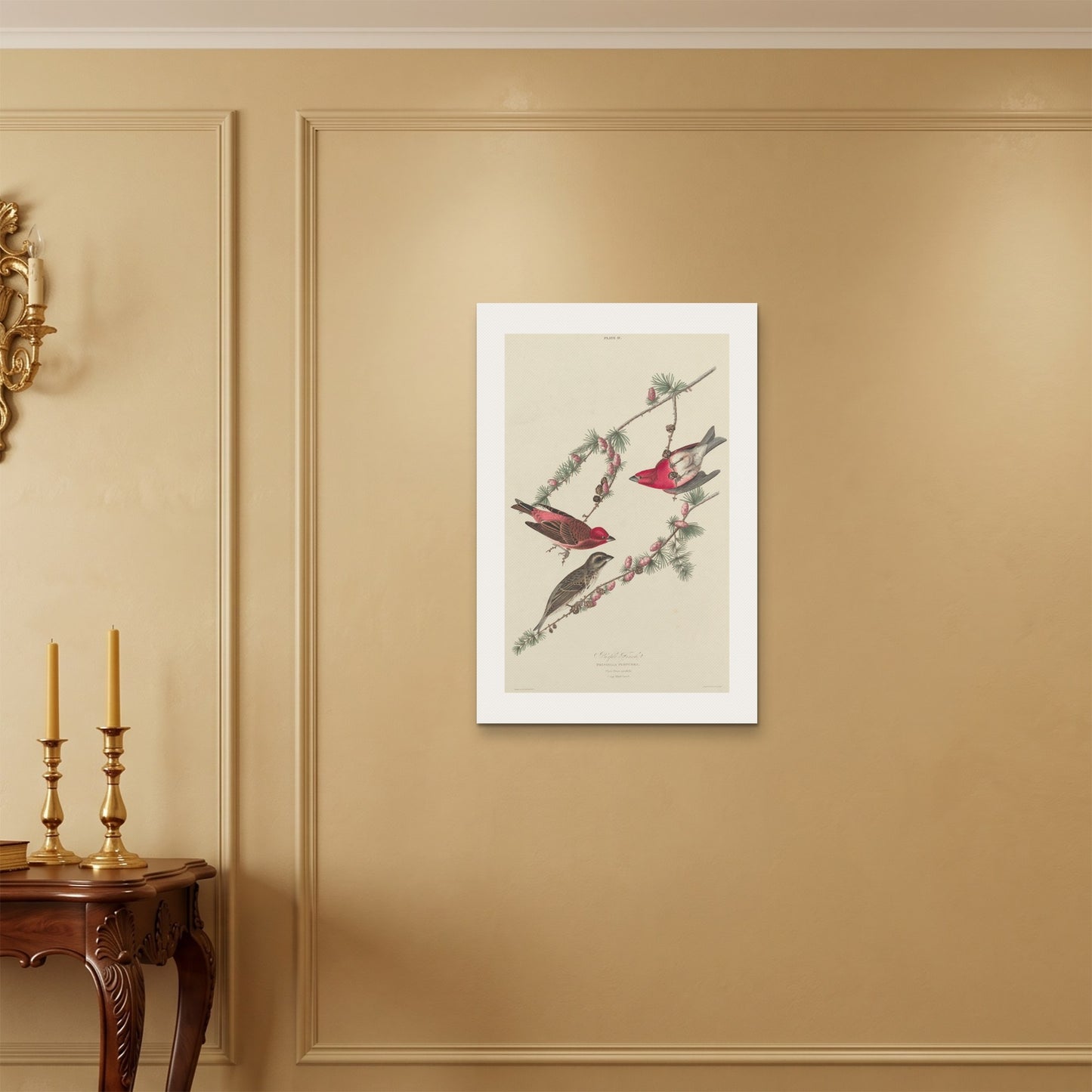 Orlonzo - WRAPPED CANVAS UNFRAMED 5075cm2030 ROOM