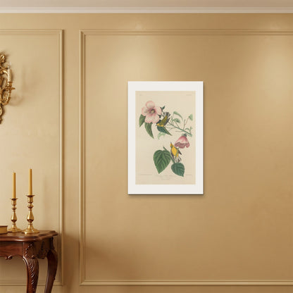 Orlonzo - WRAPPED CANVAS UNFRAMED 5075cm2030 ROOM
