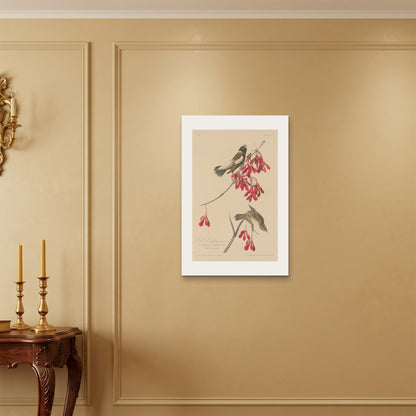 Orlonzo - WRAPPED CANVAS UNFRAMED 5075cm2030 ROOM