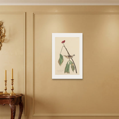 Orlonzo - WRAPPED CANVAS UNFRAMED 5075cm2030 ROOM