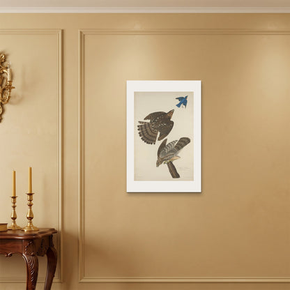 Orlonzo - WRAPPED CANVAS UNFRAMED 5075cm2030 ROOM