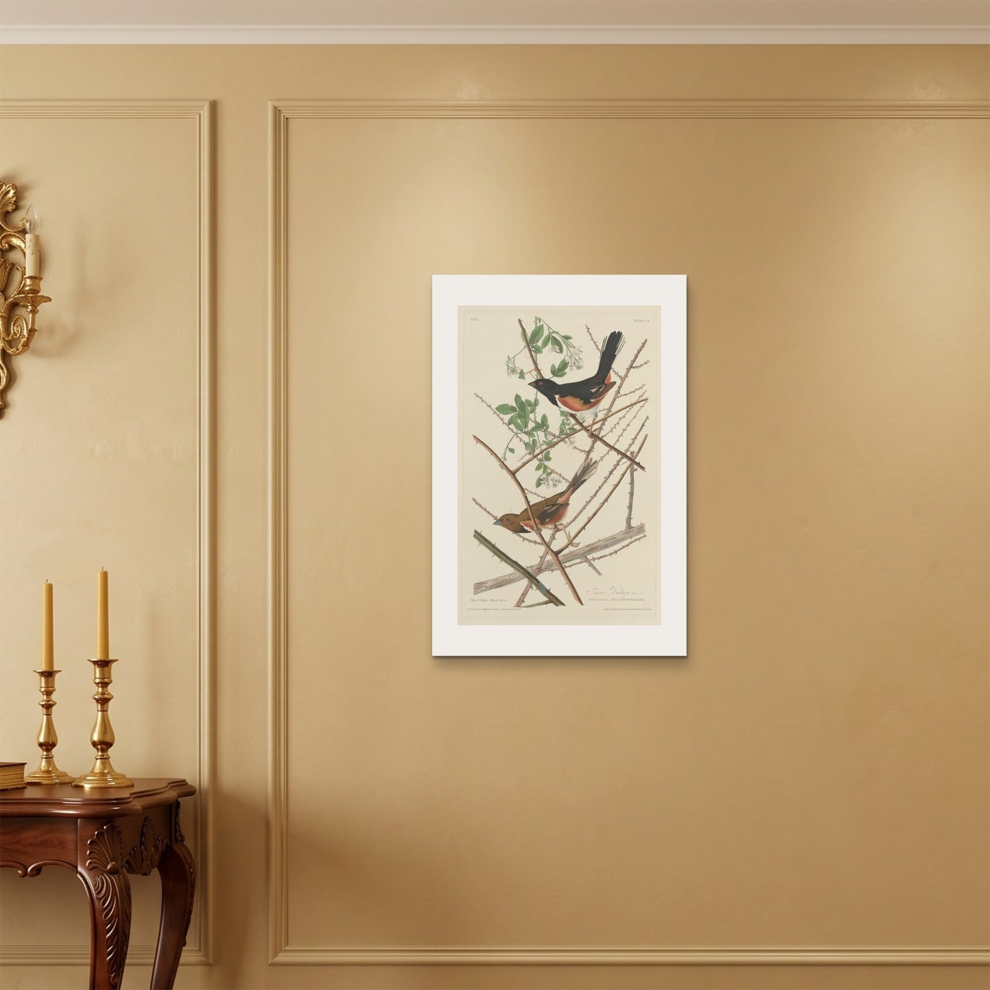 Orlonzo - WRAPPED CANVAS UNFRAMED 5075cm2030 ROOM