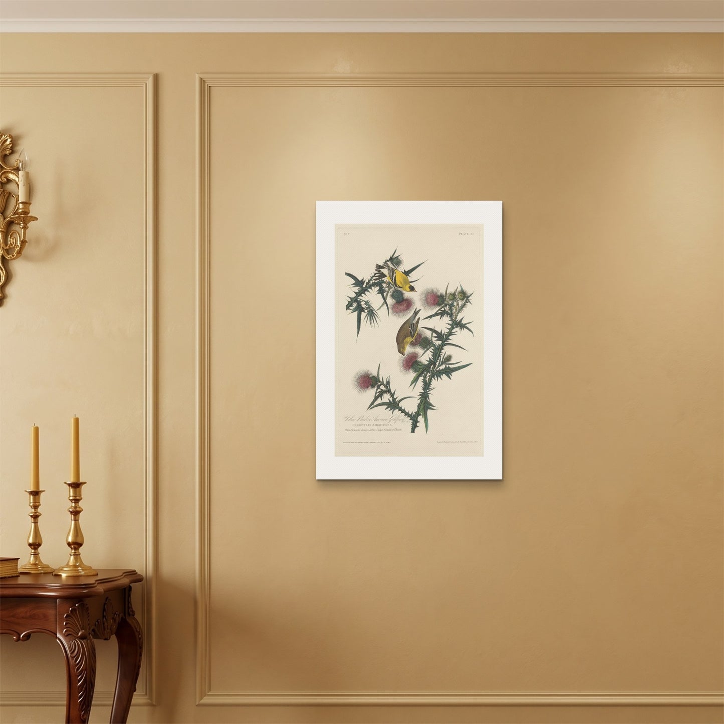 Orlonzo - WRAPPED CANVAS UNFRAMED 5075cm2030 ROOM