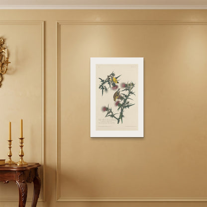 Orlonzo - WRAPPED CANVAS UNFRAMED 5075cm2030 ROOM