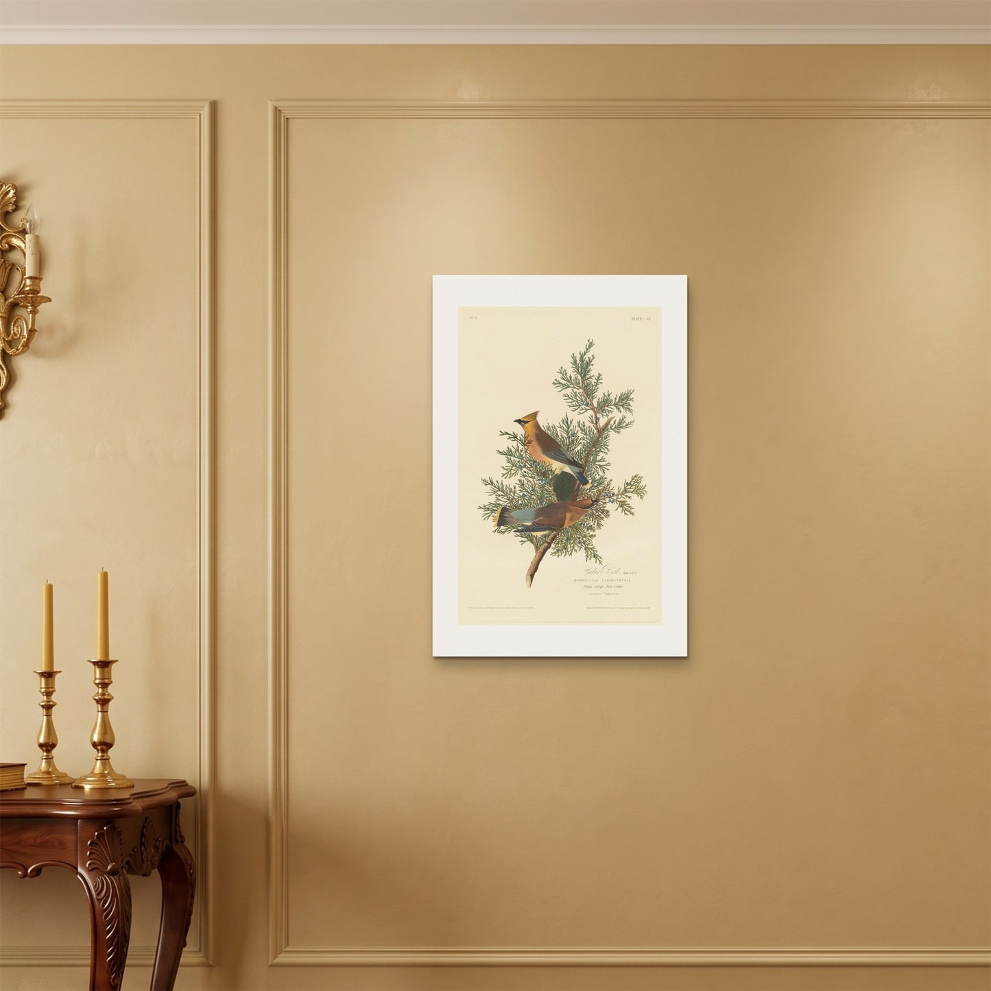 Orlonzo - WRAPPED CANVAS UNFRAMED 5075cm2030 ROOM