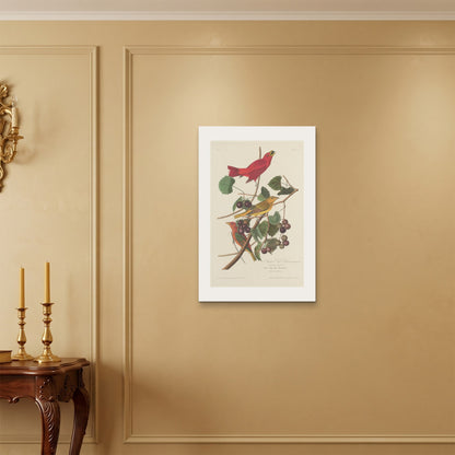 Orlonzo - WRAPPED CANVAS UNFRAMED 5075cm2030 ROOM