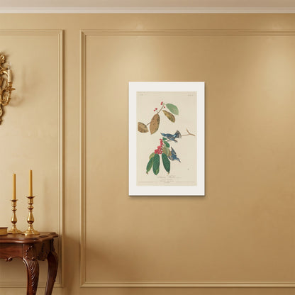 Orlonzo - WRAPPED CANVAS UNFRAMED 5075cm2030 ROOM