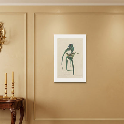 Orlonzo - WRAPPED CANVAS UNFRAMED 5075cm2030 ROOM