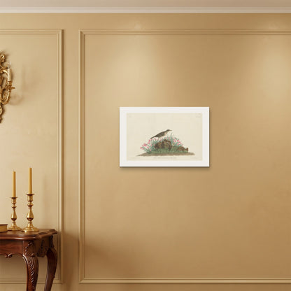 Orlonzo - WRAPPED CANVAS UNFRAMED 6040cm2416 ROOM