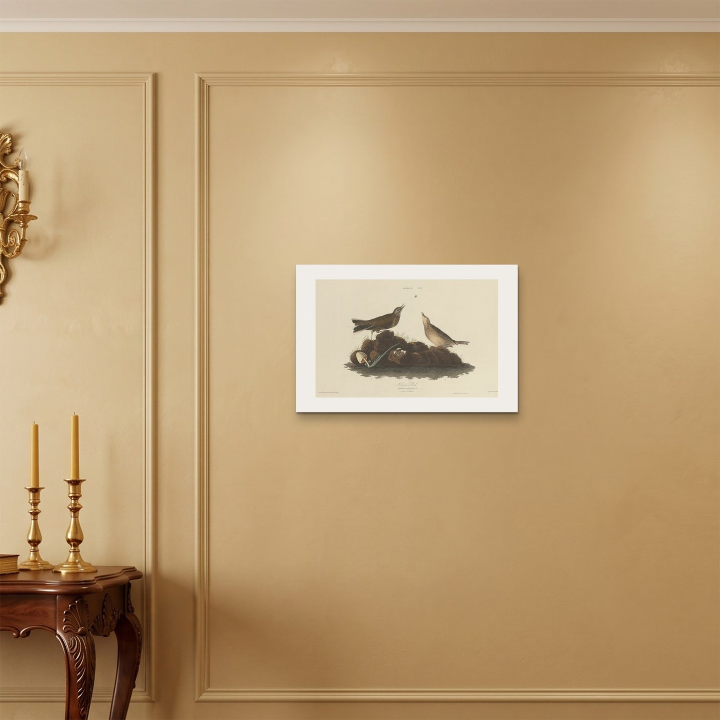 Orlonzo - WRAPPED CANVAS UNFRAMED 6040cm2416 ROOM