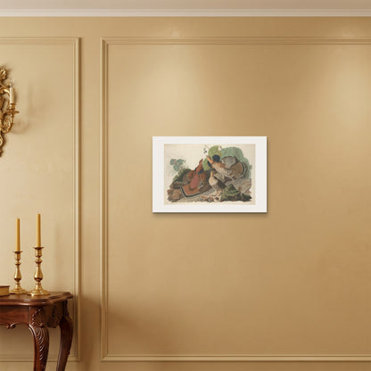 Orlonzo - WRAPPED CANVAS UNFRAMED 6040cm2416 ROOM