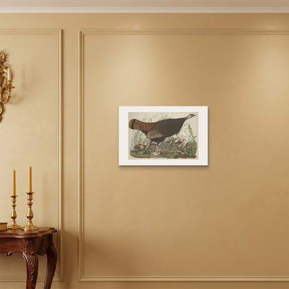 Orlonzo - WRAPPED CANVAS UNFRAMED 6040cm2416 ROOM