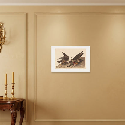 Orlonzo - WRAPPED CANVAS UNFRAMED 6040cm2416 ROOM
