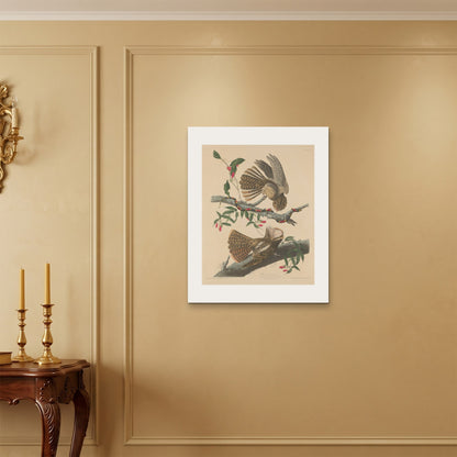 Orlonzo - WRAPPED CANVAS UNFRAMED 6075cm2430 ROOM