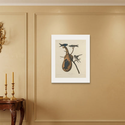 Orlonzo - WRAPPED CANVAS UNFRAMED 6075cm2430 ROOM