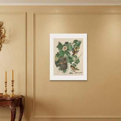 Orlonzo - WRAPPED CANVAS UNFRAMED 6075cm2430 ROOM