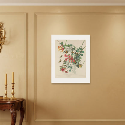 Orlonzo - WRAPPED CANVAS UNFRAMED 6075cm2430 ROOM