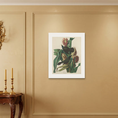 Orlonzo - WRAPPED CANVAS UNFRAMED 6075cm2430 ROOM