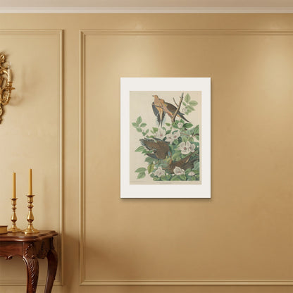Orlonzo - WRAPPED CANVAS UNFRAMED 6080cm2432 ROOM