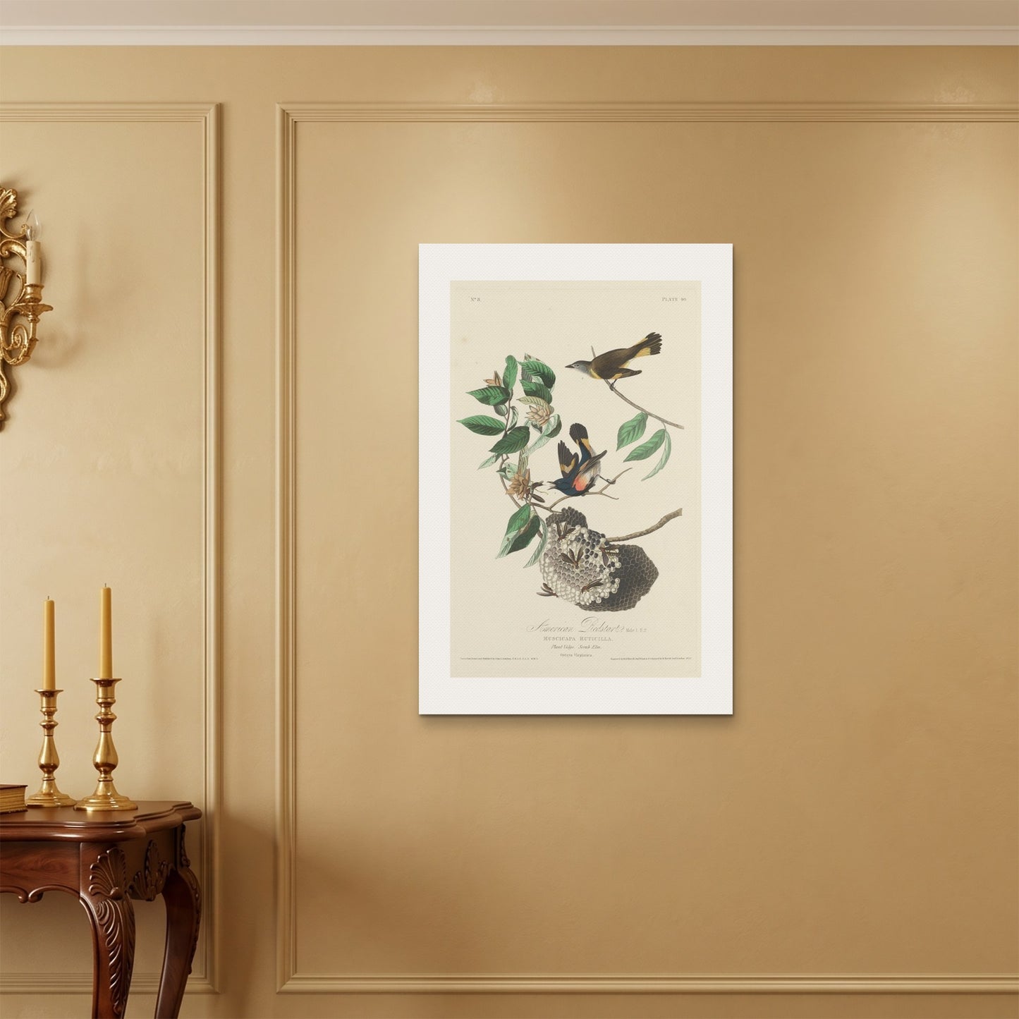 Orlonzo - WRAPPED CANVAS UNFRAMED 6090cm2436 ROOM
