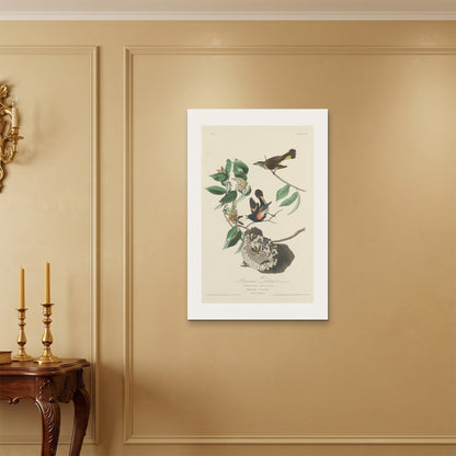 Orlonzo - WRAPPED CANVAS UNFRAMED 6090cm2436 ROOM