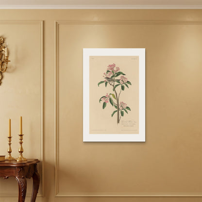 Orlonzo - WRAPPED CANVAS UNFRAMED 6090cm2436 ROOM