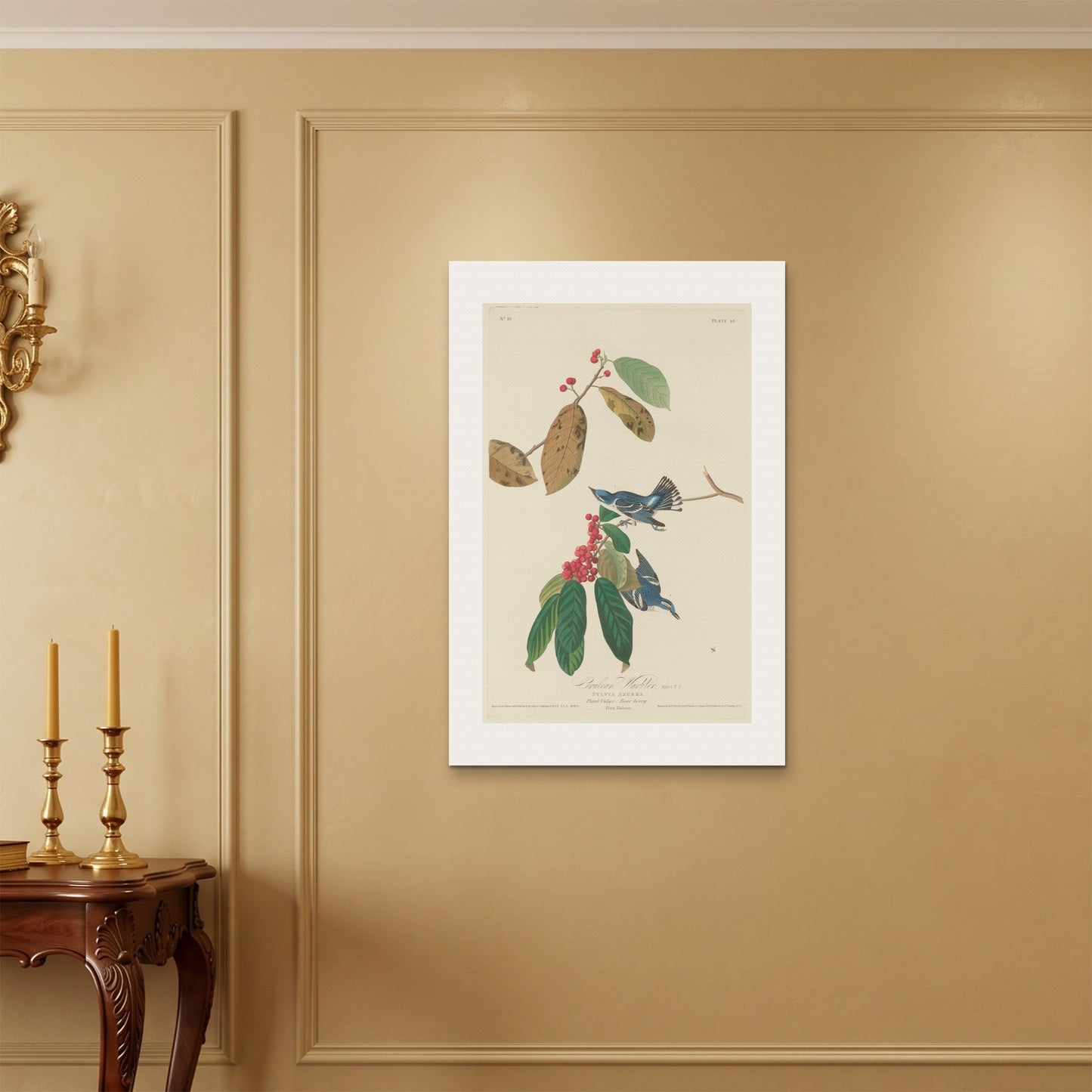 Orlonzo - WRAPPED CANVAS UNFRAMED 6090cm2436 ROOM