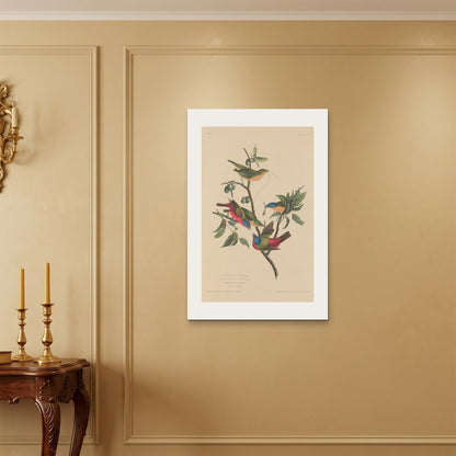 Orlonzo - WRAPPED CANVAS UNFRAMED 6090cm2436 ROOM