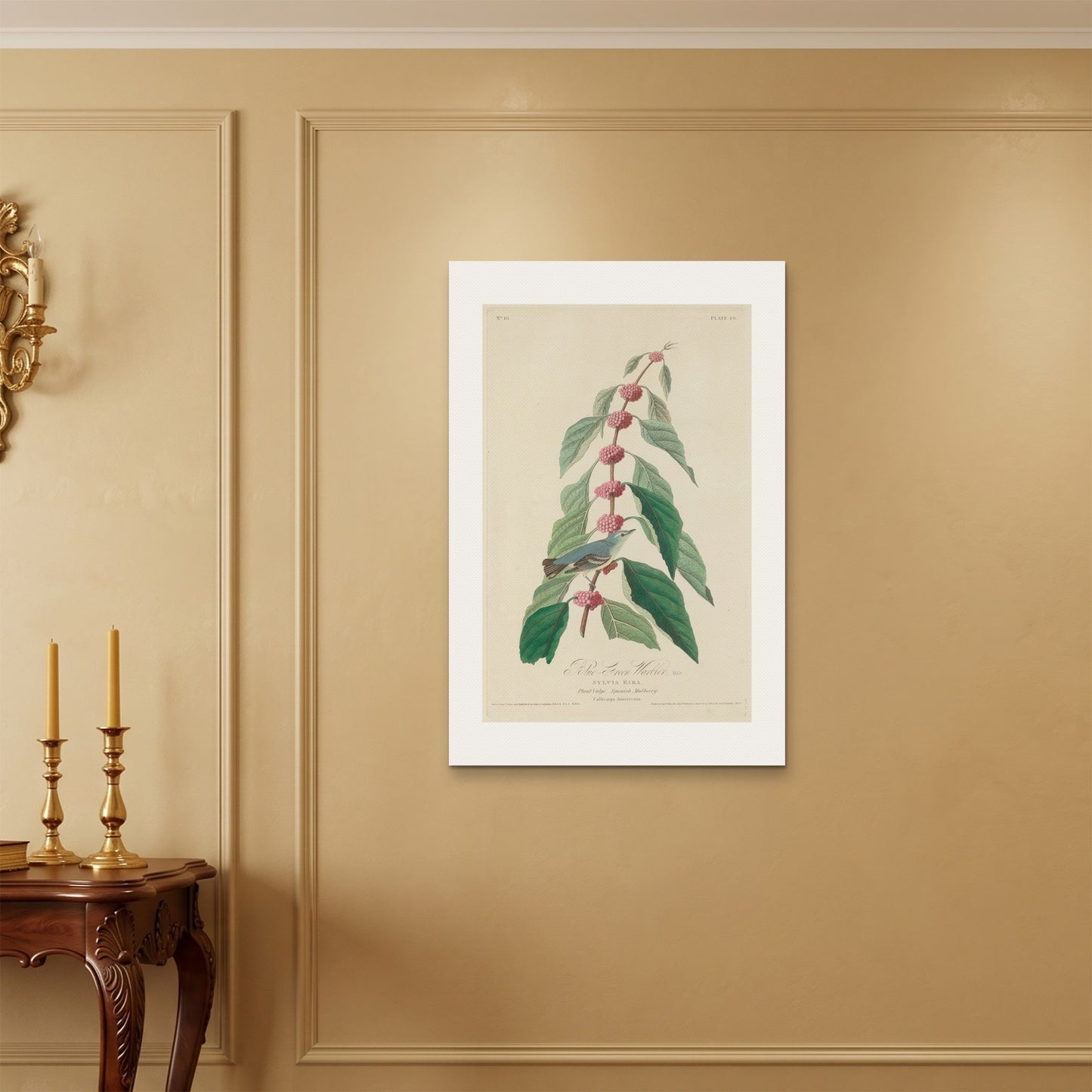Orlonzo - WRAPPED CANVAS UNFRAMED 6090cm2436 ROOM