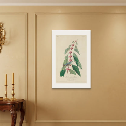 Orlonzo - WRAPPED CANVAS UNFRAMED 6090cm2436 ROOM