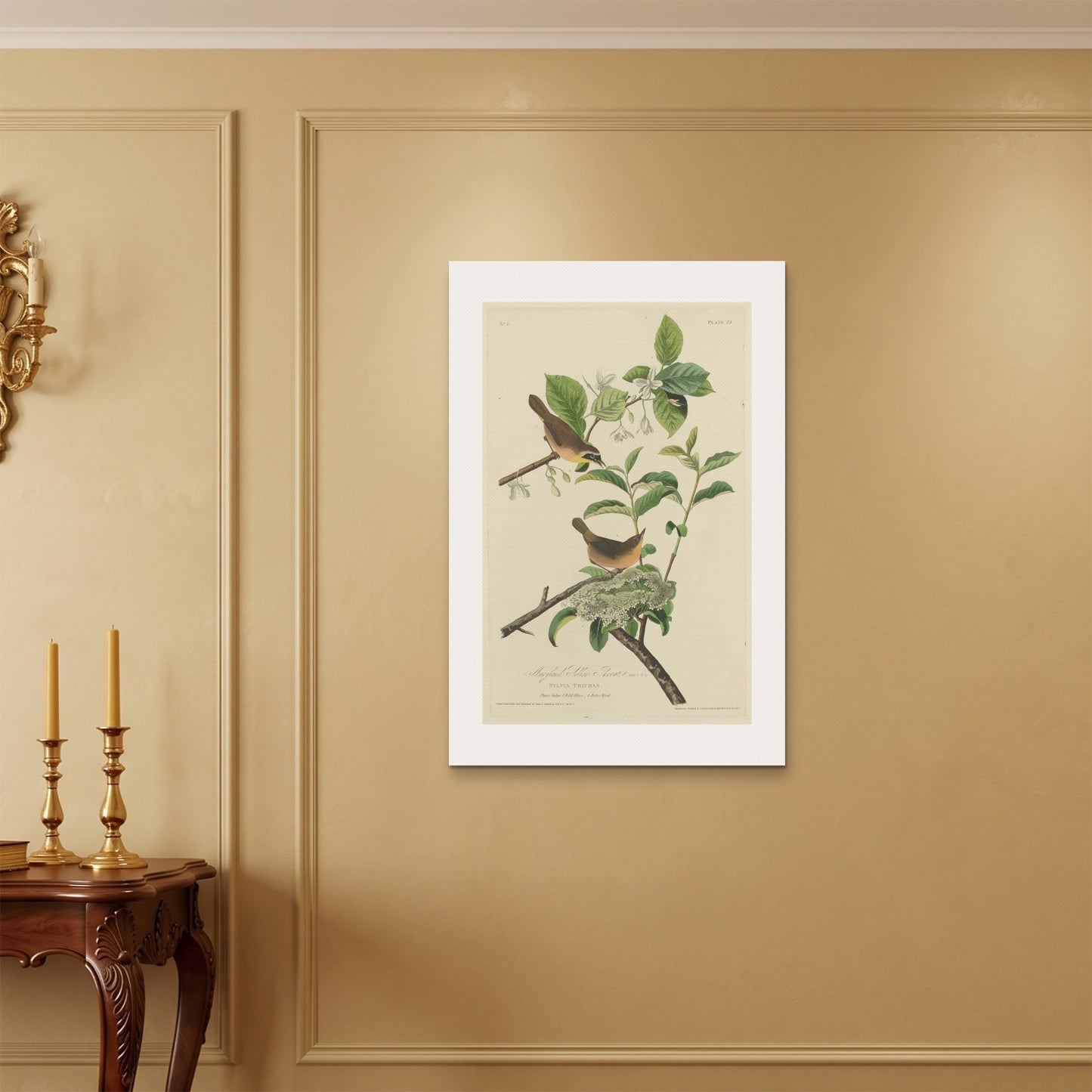 Orlonzo - WRAPPED CANVAS UNFRAMED 6090cm2436 ROOM