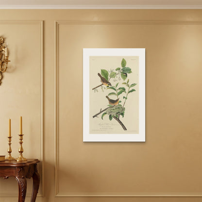 Orlonzo - WRAPPED CANVAS UNFRAMED 6090cm2436 ROOM