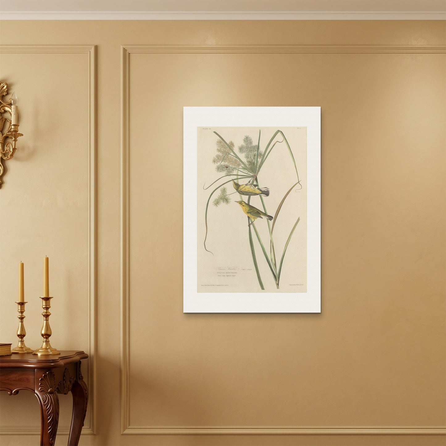 Orlonzo - WRAPPED CANVAS UNFRAMED 6090cm2436 ROOM