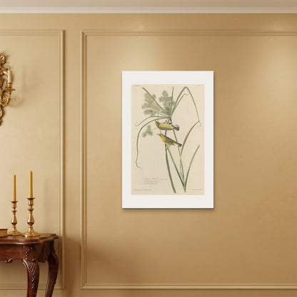 Orlonzo - WRAPPED CANVAS UNFRAMED 6090cm2436 ROOM