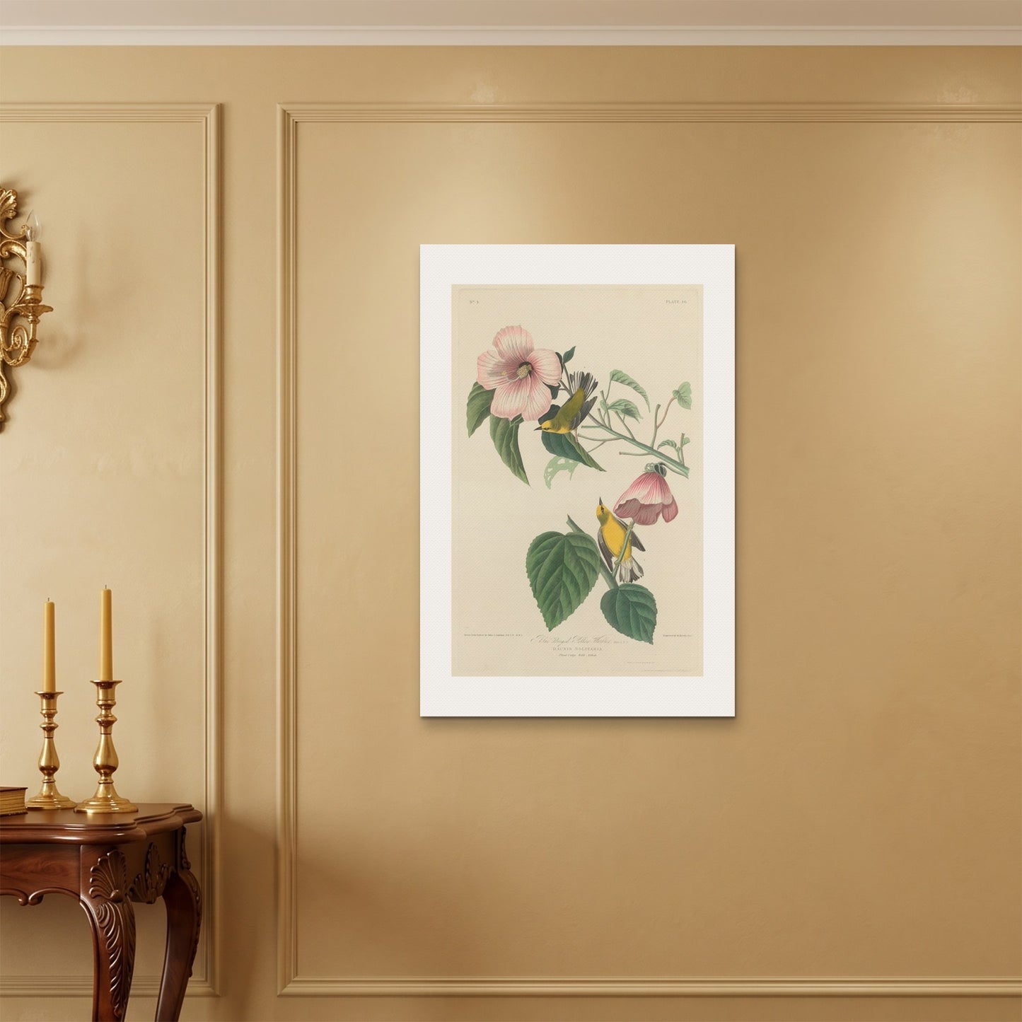 Orlonzo - WRAPPED CANVAS UNFRAMED 6090cm2436 ROOM