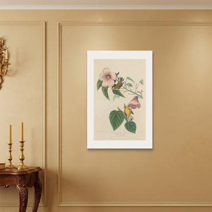 Orlonzo - WRAPPED CANVAS UNFRAMED 6090cm2436 ROOM