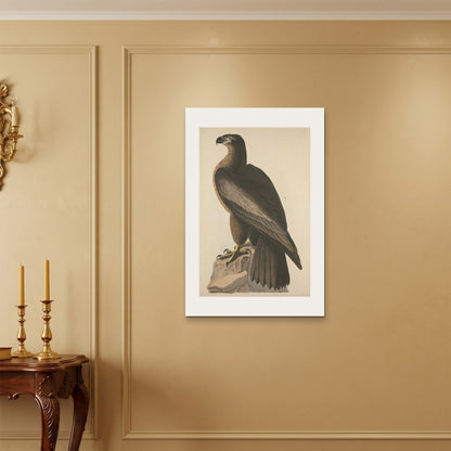 Orlonzo - WRAPPED CANVAS UNFRAMED 6090cm2436 ROOM