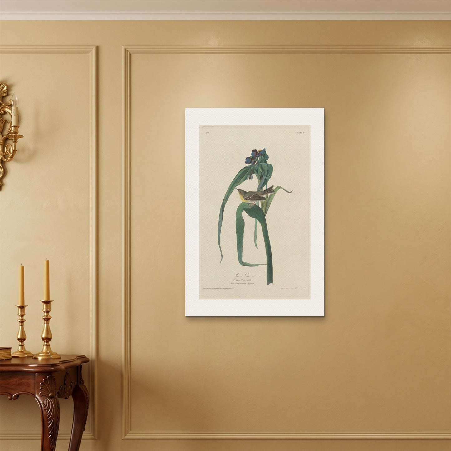 Orlonzo - WRAPPED CANVAS UNFRAMED 6090cm2436 ROOM