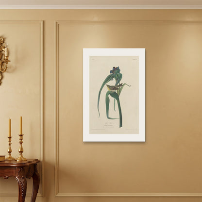 Orlonzo - WRAPPED CANVAS UNFRAMED 6090cm2436 ROOM